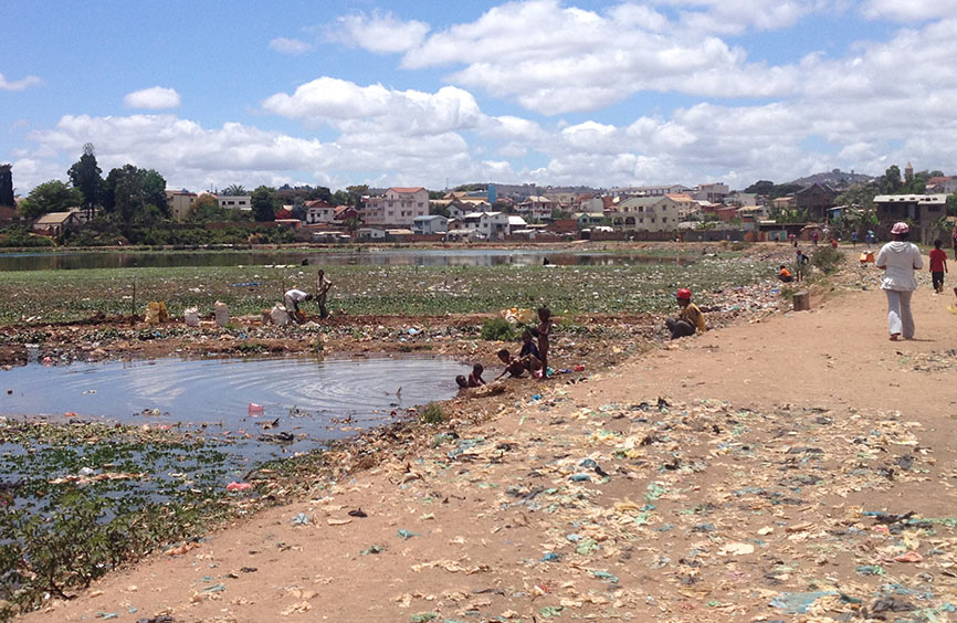 Polluted lake