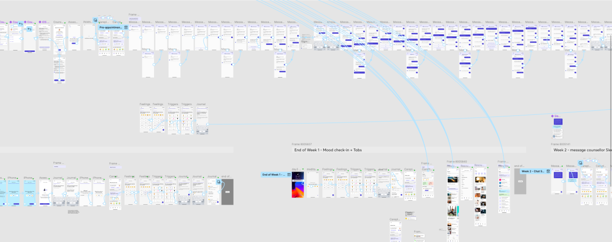 Detailed prototype of key persona journey